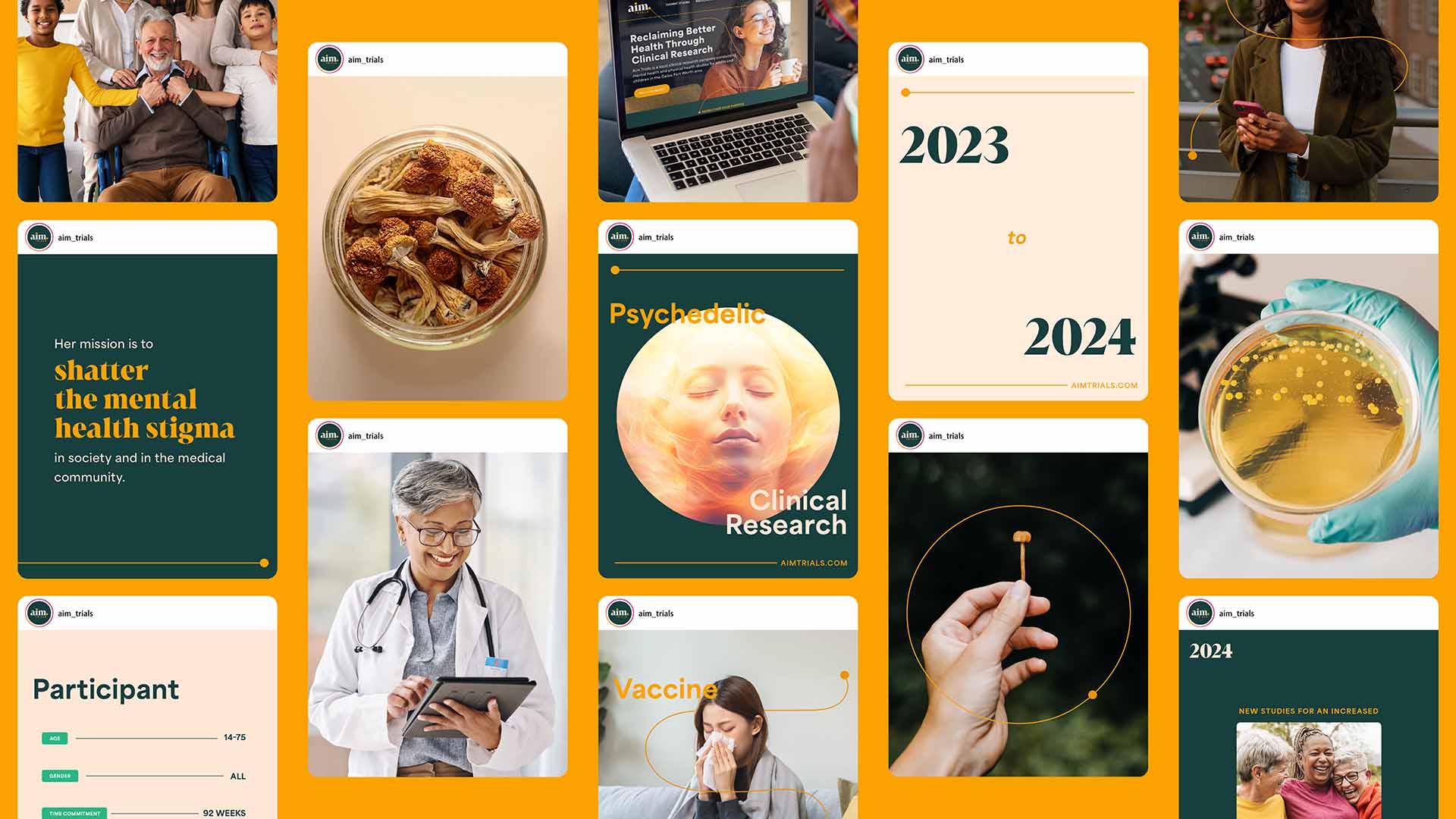 A collage of images showcasing social media advertisements.